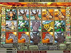 Safari slots